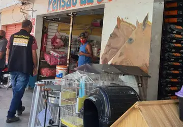 Procon de Rio das Ostras, RJ, realiza fiscalização em pet shops e casas de rações. (Foto: Divulgação/Procon)