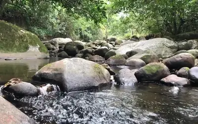 Prefeitura de Cachoeiras de Macacu, RJ, realiza operação para evitar sujeira e excesso de pessoas em rios da cidade.