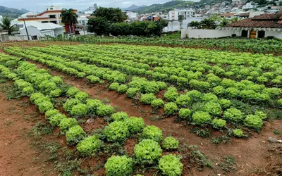 Horta comunitária contribui com alimentação saudável em Itaperuna, RJ.